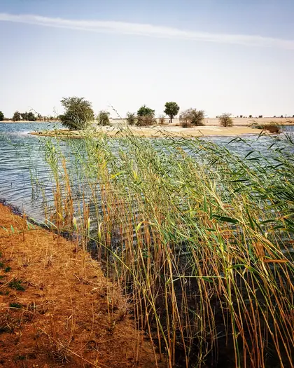 Al Qudra Lakes: photo from the venue