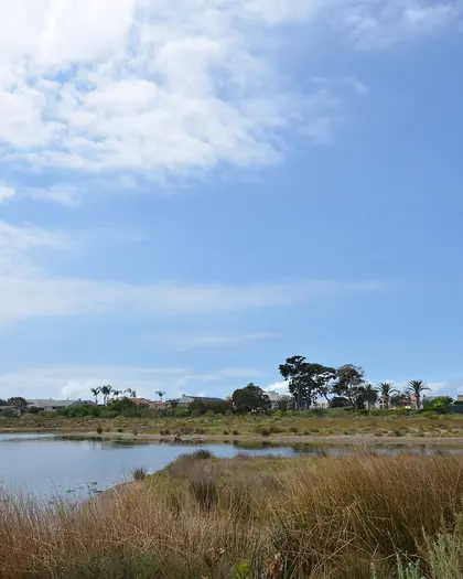 Malibu Lagoon: photo from the venue