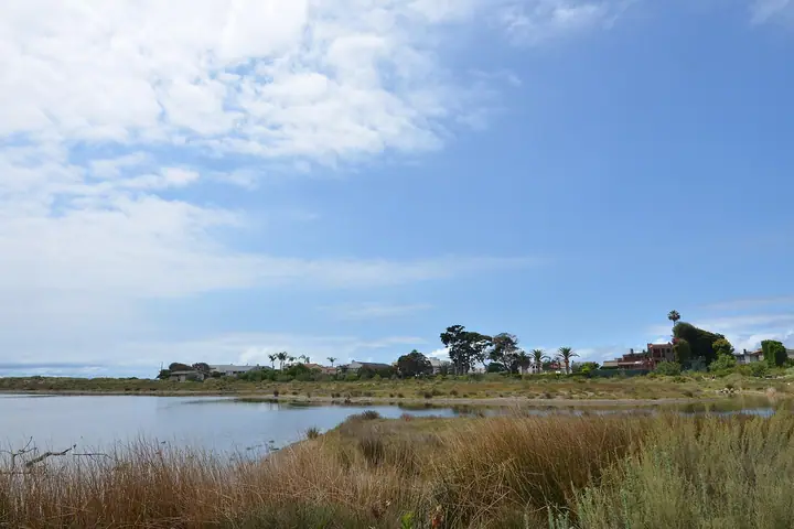 Malibu Lagoon: photo from the venue