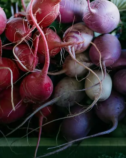 Mar Vista Farmers Market: photo from the venue