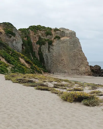 Point Dume: photo from the venue