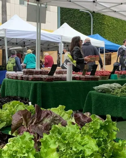 Santa Monica Saturday market: photo from the venue